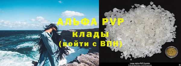 эйфоретик Заполярный