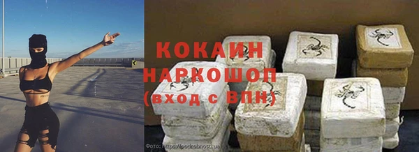 эйфоретик Заполярный