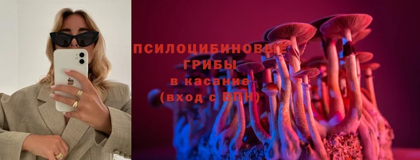 СК Заречный