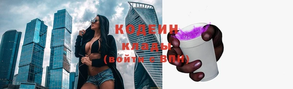молекула духа Надым