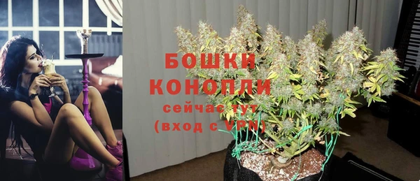 СК Заречный