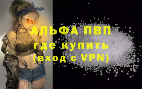эйфоретик Заполярный