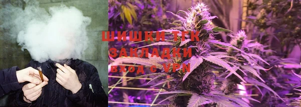 СК Заречный