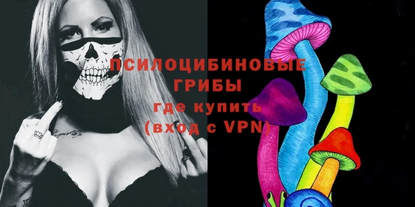 эйфоретик Заполярный