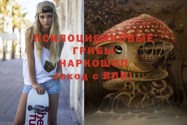 молекула духа Надым
