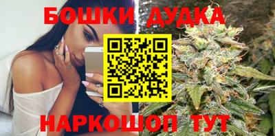 сатива Камышлов