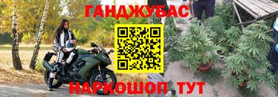 сатива Камышлов