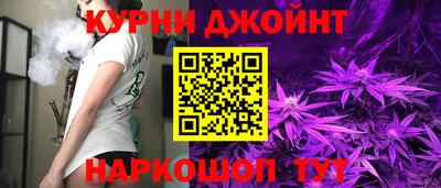 сатива Камышлов