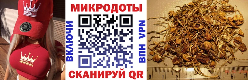 Галлюциногенные грибы GOLDEN TEACHER  Отрадный 