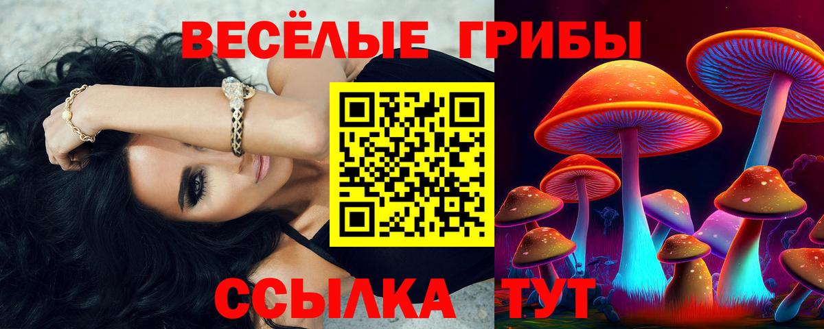 Псилоцибиновые грибы Magic Shrooms Отрадный