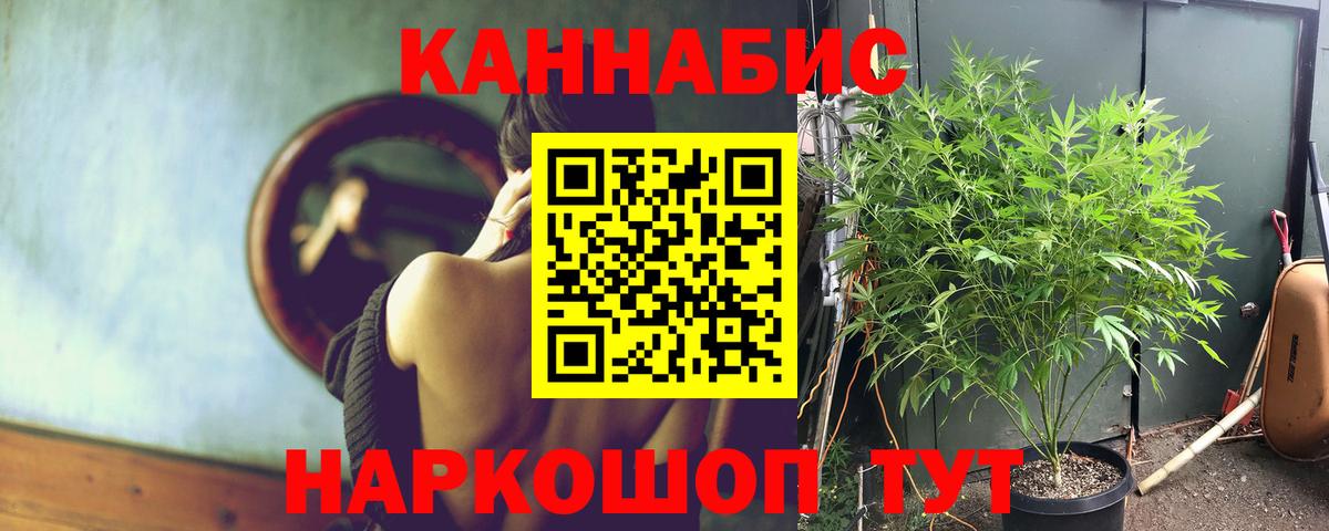 Конопля тримм  Вход с VPN  Каннабис гибрид  Отрадный  Каннабис конопля 