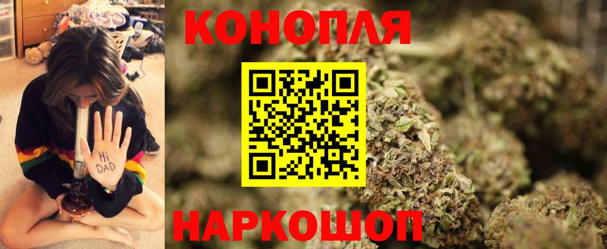 Шишки марихуана OG Kush Отрадный